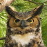 9VIkNqD9bjs-channel-avatar-lee paul