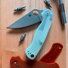 JadeGeminiM390 net worth