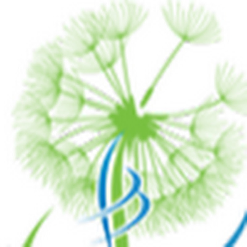 Solutions Chiropractic