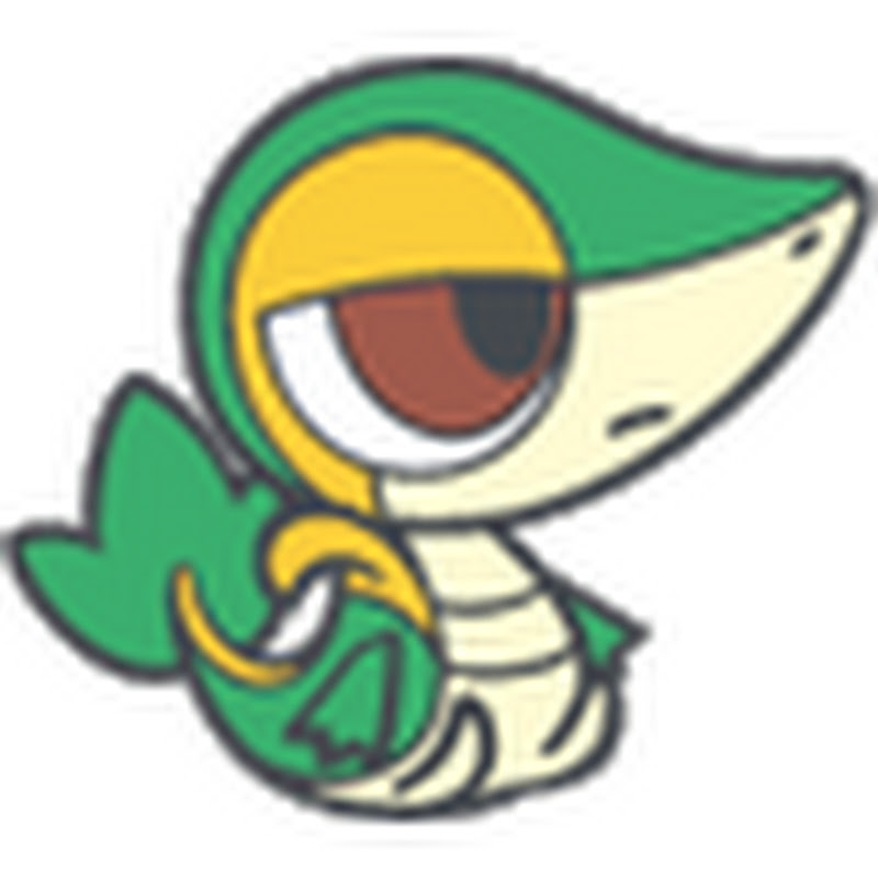 Snivy102