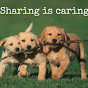 Sharing is Caring logo