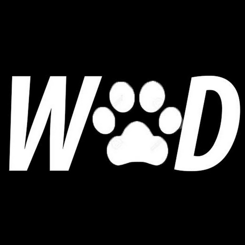 Watching Dog