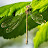 @jeromeh3605 Avatar