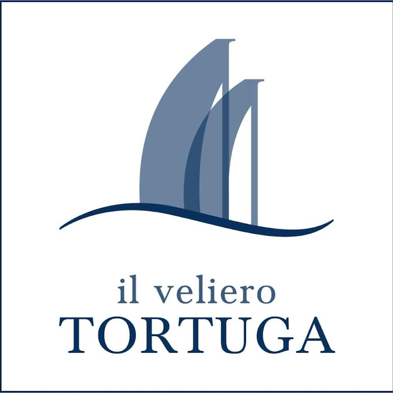 velierotortuga9404