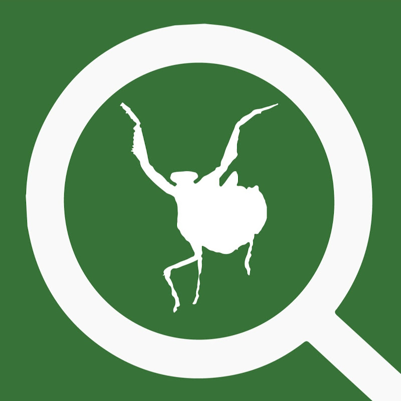 Hidden Nature icon