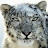 @54car54's avatar