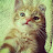 @khengteoh4318 Avatar