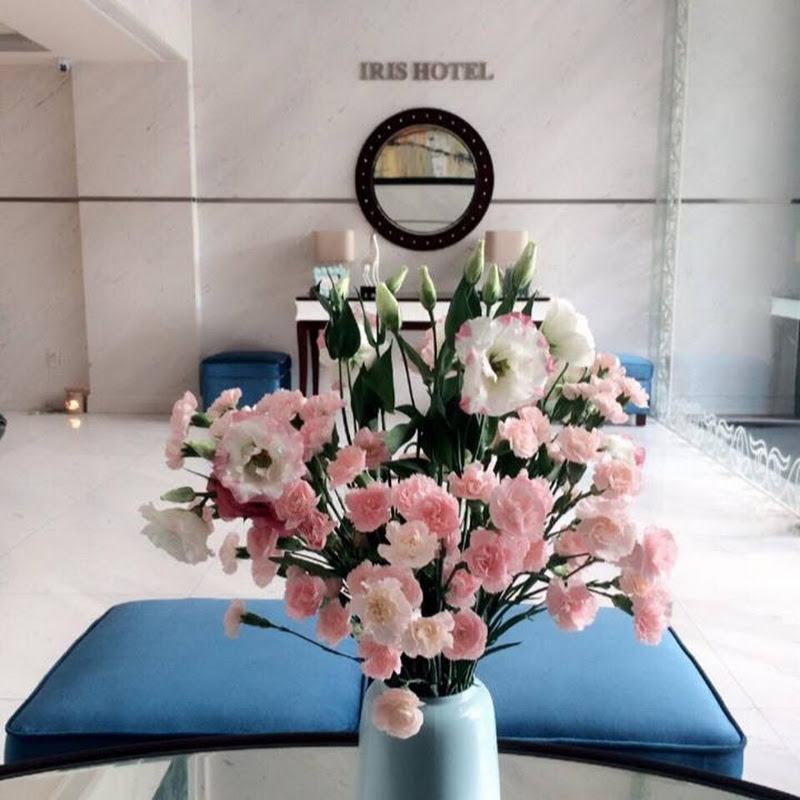 Hotel Iris