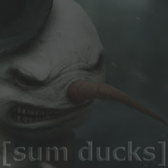 SumDucksCS