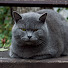 BdTKs6nr65k-channel-avatar-Иван К.