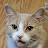 @saskatchewanmoose's avatar