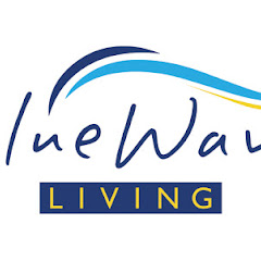 BlueWave Living net worth