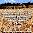 6iWDQPTCvfw-channel-avatar-Turisme Alfés