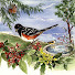GrrP6zVvcDY-channel-avatar-Camano Wildlife Habitat