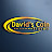 @davidscointravels