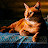 @mithunnair8899's avatar