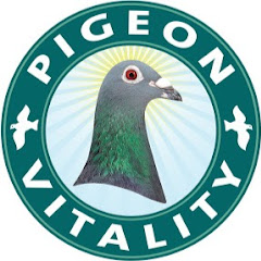 Pigeon Vitality channel logo
