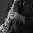 @robinreidmusic's avatar
