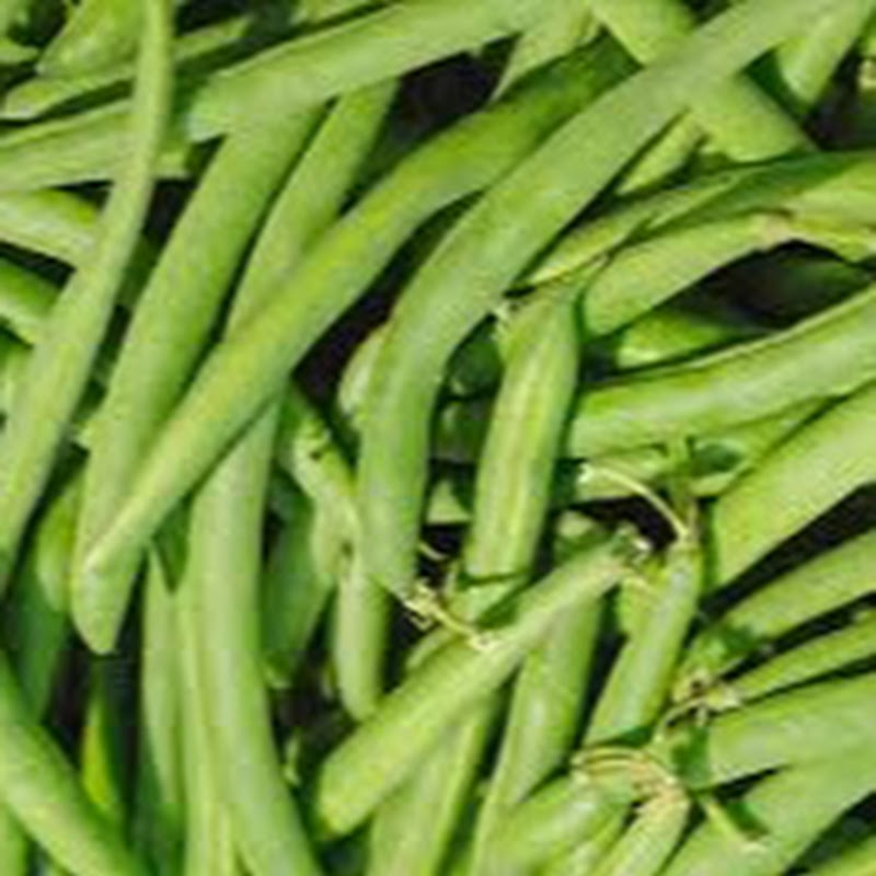 fEATure FOOD