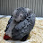 Rocket, The Baby Grey Parrot