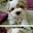 @별이맘-m6k