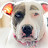 @dogdad4069 Avatar