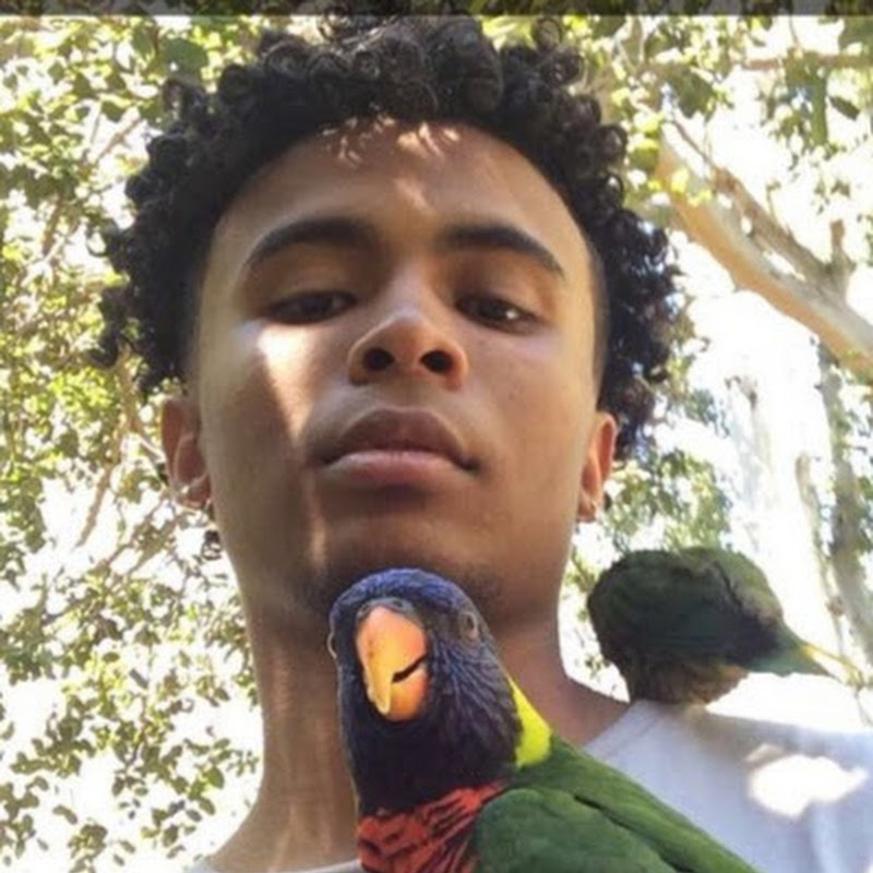 The Real Deal Khaleel