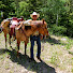 GBgmRa-Pcp4-channel-avatar-Wilderness Riders