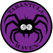 Tarantula Haven