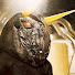 43HHSr7s_qo-channel-avatar-LordNimon
