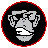 Avatar de @kapitanopica