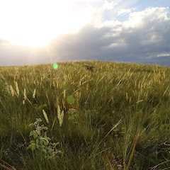 USDA NRCS South Dakota