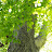 @user-mp4ew8bt4q
