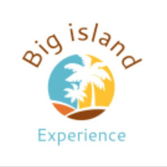 Bigisland Experience Avatar