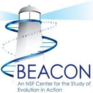 Beaconcenter2010 YouTube channel image