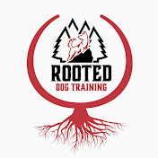 Rooted Dog Training