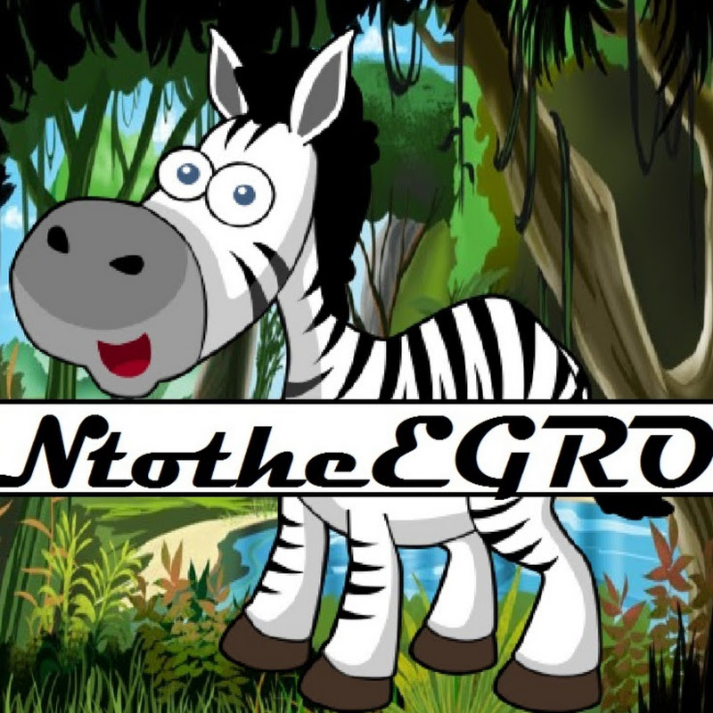 NtotheEGRO