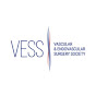 Vascular & Endovascular Surgery Society logo