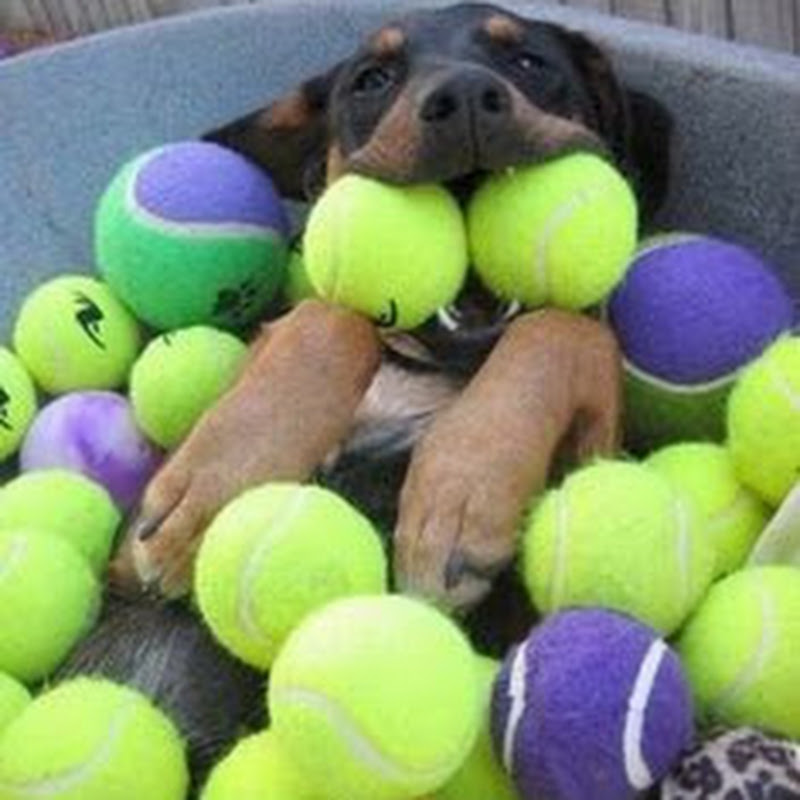 California Recreational Tennis