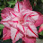 @ndm1969able Avatar