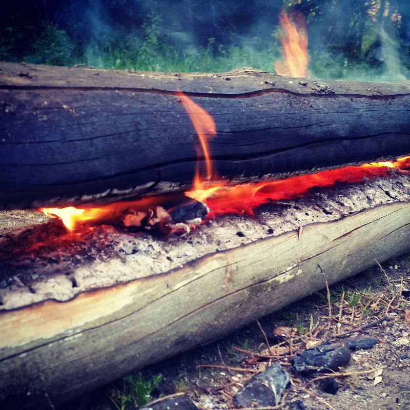 Mattias Norberg Logo