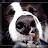 @hvrijsse's avatar