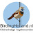 Birding Holland