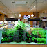 ydLnCDSxJ7w-channel-avatar-WASABI Aquarium Channel