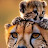 @ramuthaipaulraj3077
