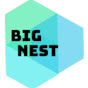 Big Nest logo