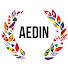 6Y_vQzHt_9o-channel-avatar-AEDIN