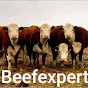 Beefexpert