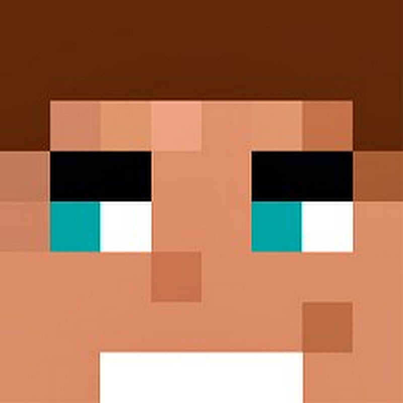 NiclasBlocko's Minecraft