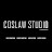 @coslawstudio3001's avatar